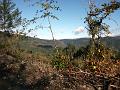 2005-11 WE Cevennes 097